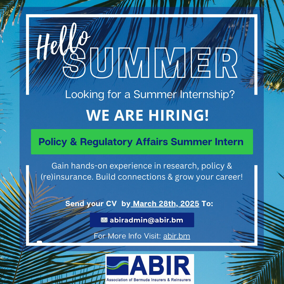 Summer Intern 2025 - (Instagram Post)